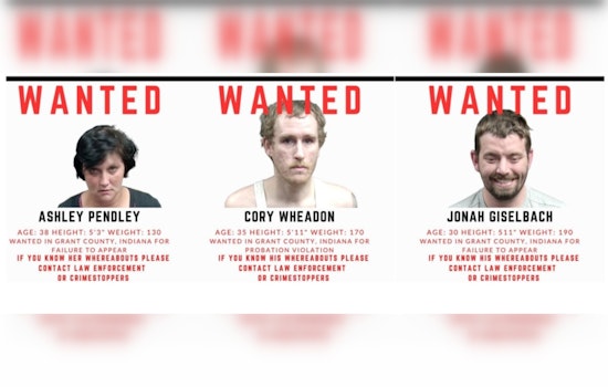 Marion Manhunt Deputies Blast Felony Fugitive Friday Trio