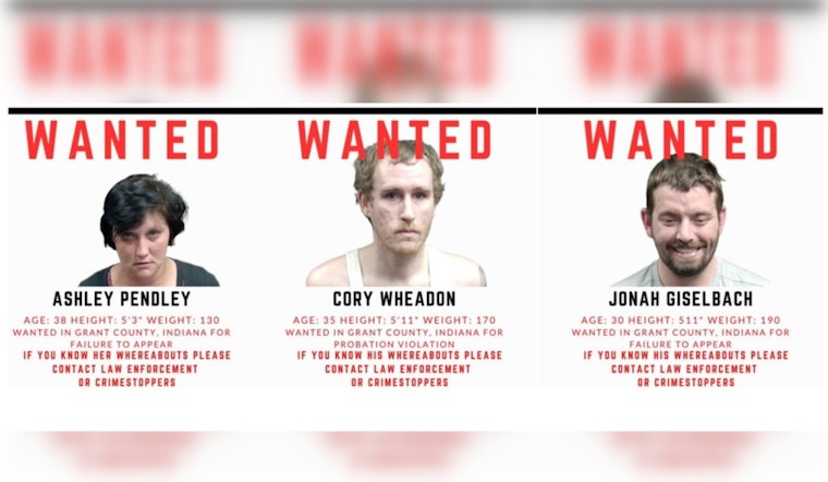 Marion Manhunt Deputies Blast Felony Fugitive Friday Trio