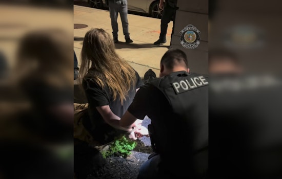 Masked Break-In Bust: Cops Collar Armed Suspect At Downtown St. Louis Relic
