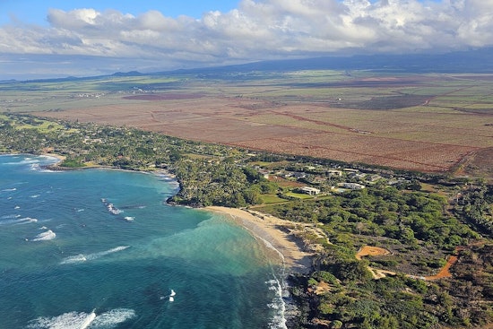 Maui Farm Lifeline Doubles Output, Drops 40,000 Pounds of Island Food on Lahaina Families