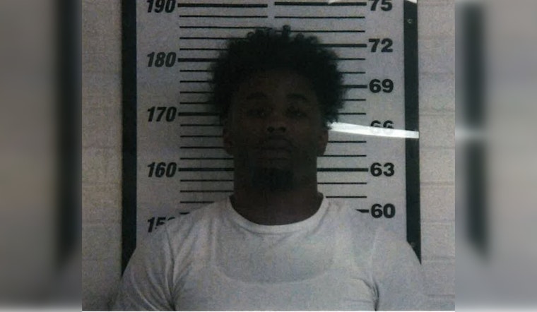 McMinnville Traffic Stop Finds Loaded Guns and Suspected Drugs
