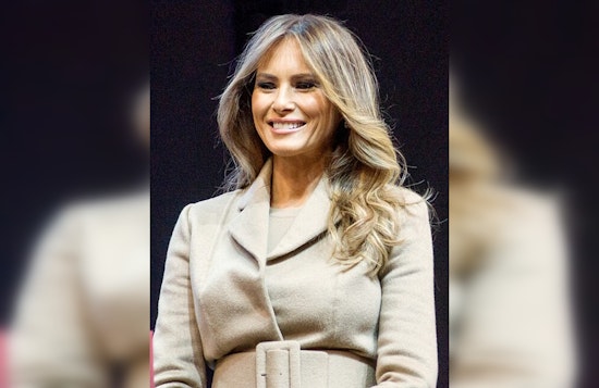 Melania Trump Denies Epstein Ties at White House