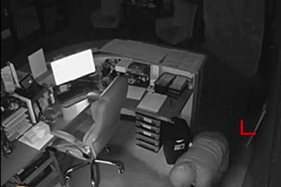 Memphis Suspect Crawls to Front Desk at Brown Dog Lodge