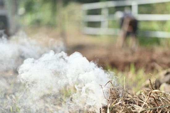 Merlefest Campers Feel The Heat As Burn Ban Snuffs Out Campfires