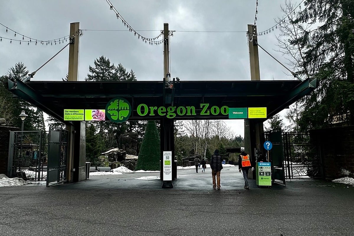 Audit Warns Oregon Zoo Not Ready for $380M Bond-Funded Overhaul