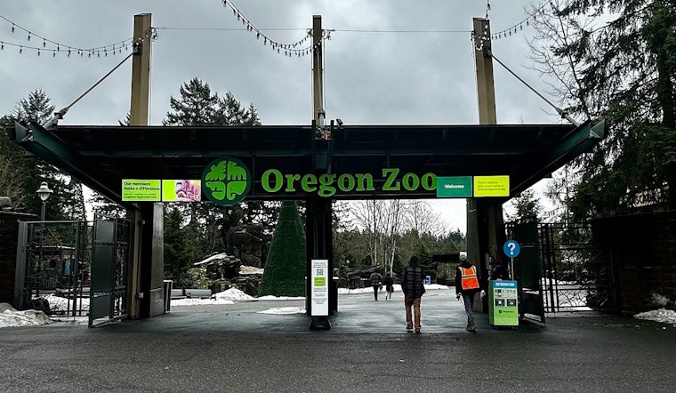 Metro Audit Sounds Alarm On Oregon Zoo’s $380 Million Makeover