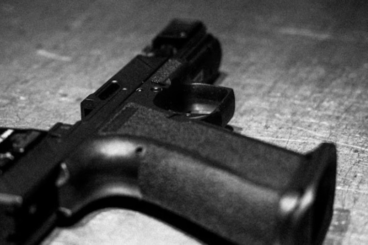 Miami Dog Owner Guns Down Dogs, Says He Had No Choice