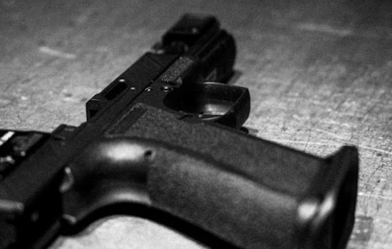 Miami Dog Owner Guns Down Dogs, Says He Had No Choice