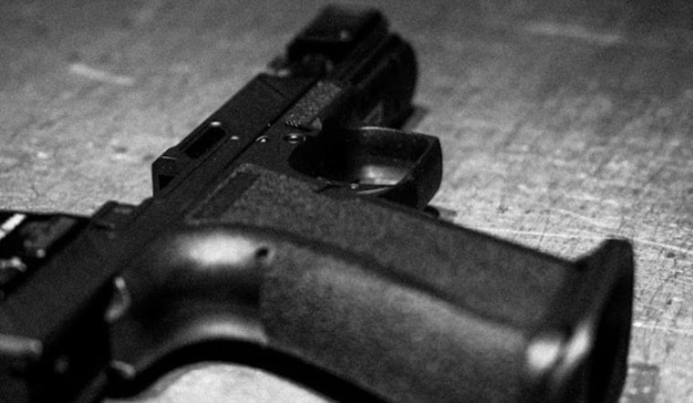 Miami Dog Owner Guns Down Dogs, Says He Had No Choice