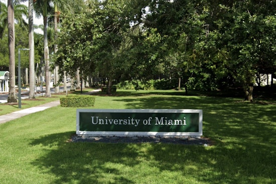 Miami Lab Bets Big On Stem Cells To Rewire Parkinson's Brains