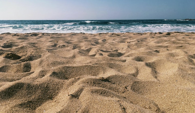Miami Startup Crushes Bottles Into Beach Sand To Bolster Coast