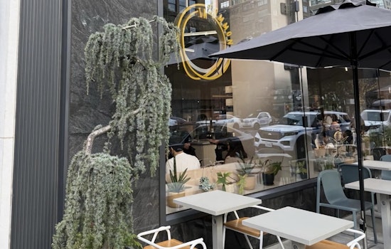 Mice, Flies, & A Drain Broken Since 2024: Hudson Yards' In Common Cafe Closes After a 78-Point Inspection