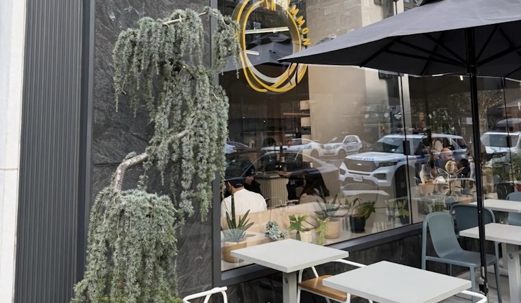 Mice, Flies, & A Drain Broken Since 2024: Hudson Yards' In Common Cafe Closes After a 78-Point Inspection