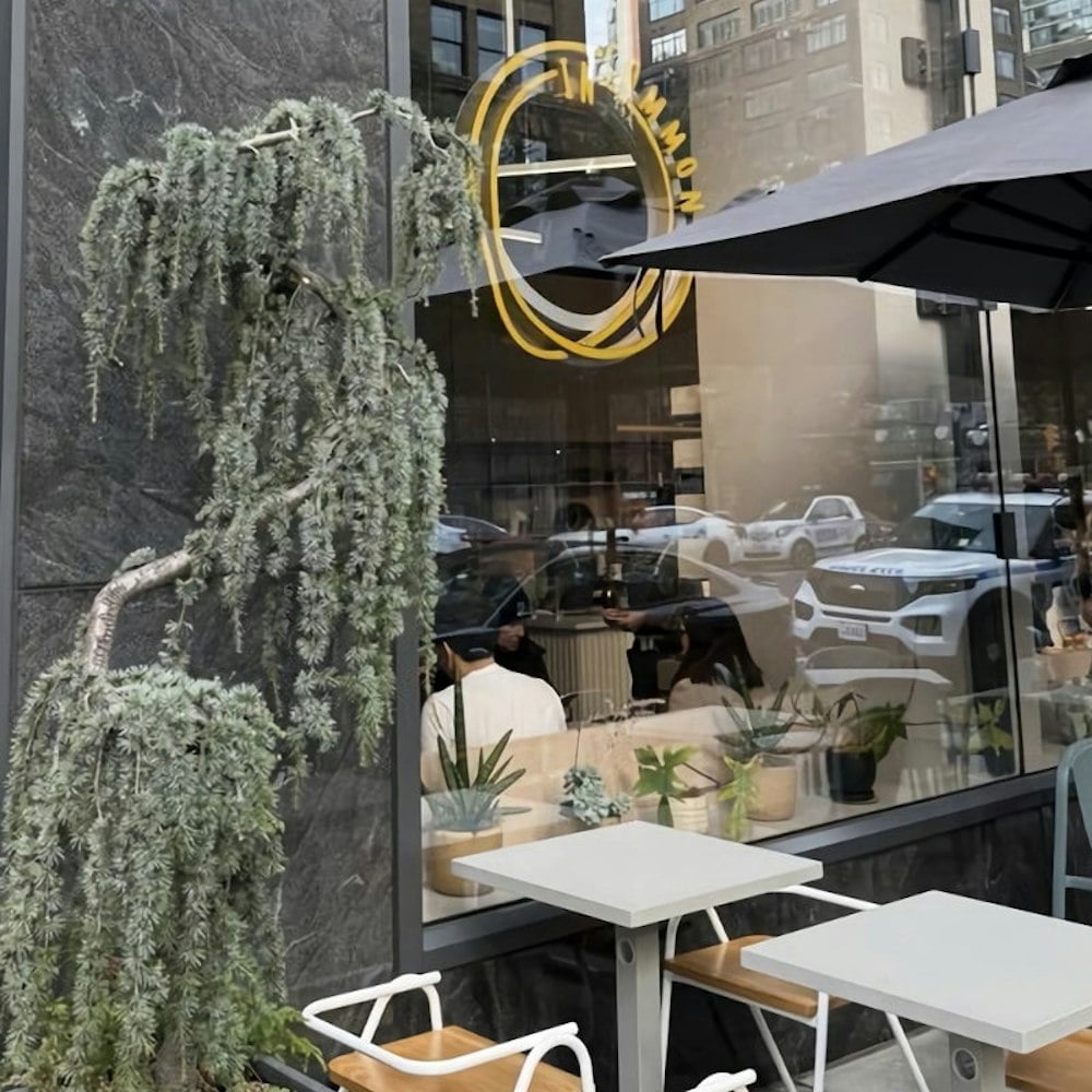 Mice, Flies, & A Drain Broken Since 2024: Hudson Yards' In Common Cafe Closes After a 78-Point Inspection