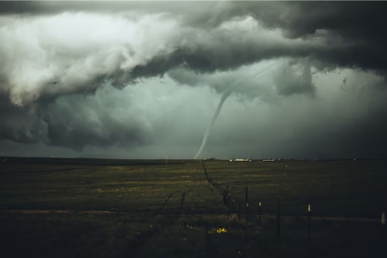 Michigan Twister Turns Fenwick Dairy Into Late-Night Cow Chase