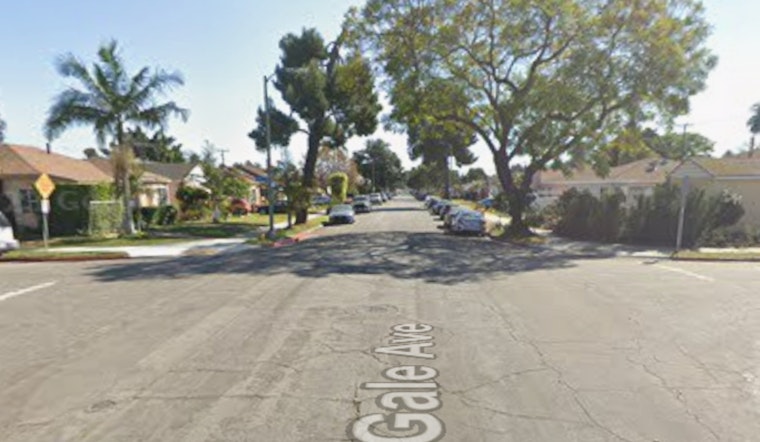 Midnight Gunfire Shakes Long Beach Near 710 Freeway, Shooters Fail to Hit Targets