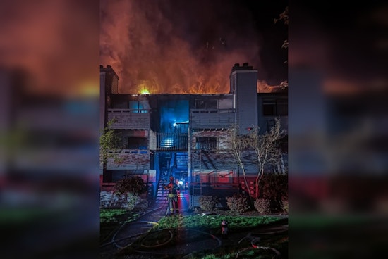 Midnight Mountlake Terrace Blaze, Firefighters Snag Couple And Dog From Third-Floor Window