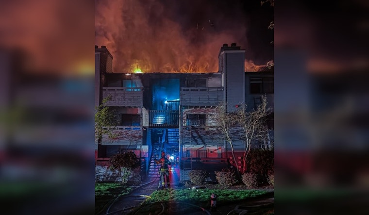 Midnight Mountlake Terrace Blaze, Firefighters Snag Couple And Dog From Third-Floor Window