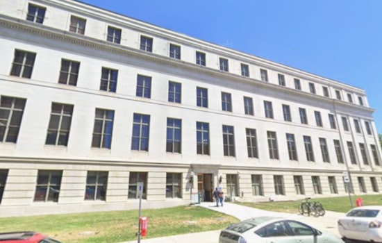 Mile High Mushroom War: Denver Psilocybin Clinic Drags Ex-Staff And Rival Into Court