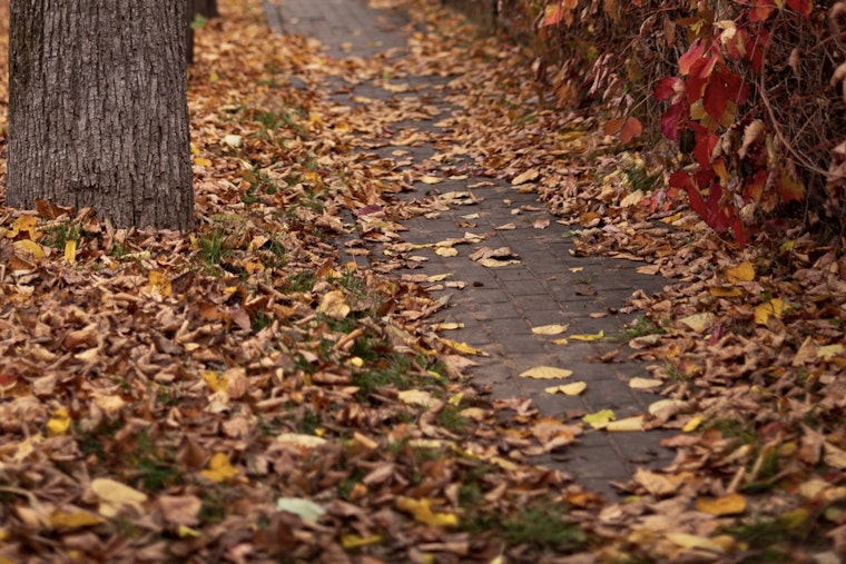 Milwaukee Orders Neighbors To Bag Leaves After April Floods