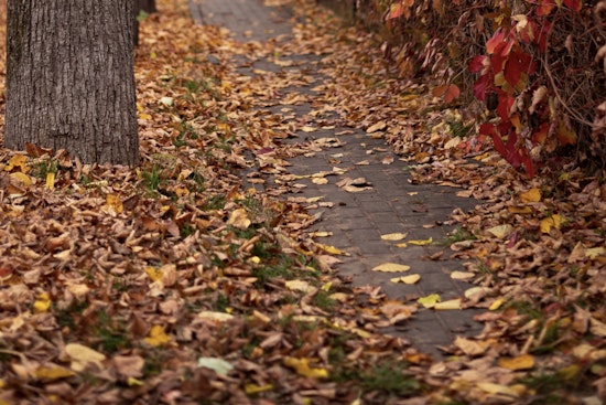 Milwaukee Orders Neighbors To Bag Leaves After April Floods
