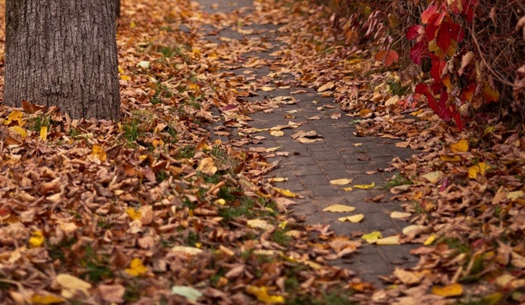 Milwaukee Orders Neighbors To Bag Leaves After April Floods