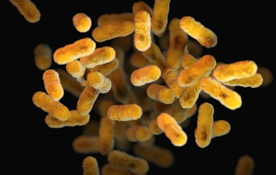 Mission Bay Bacteria Spike Triggers Warnings At Campland And Fanuel Park