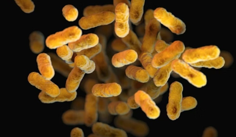 Mission Bay Bacteria Spike Triggers Warnings At Campland And Fanuel Park