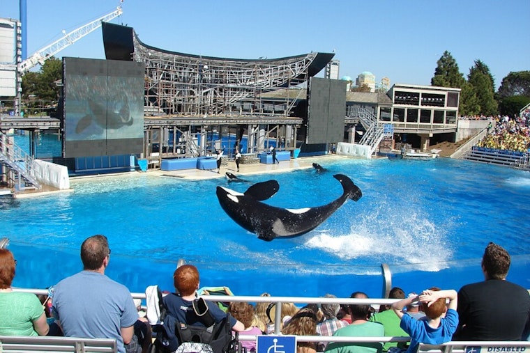 Mission Bay Showdown: SeaWorld Fireworks Could Give Way To Drone Swarms