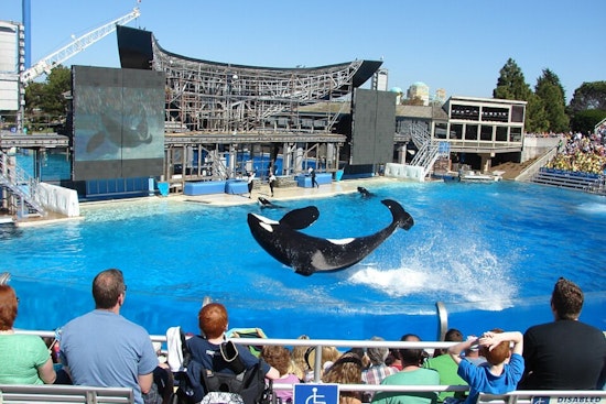 Mission Bay Showdown: SeaWorld Fireworks Could Give Way To Drone Swarms