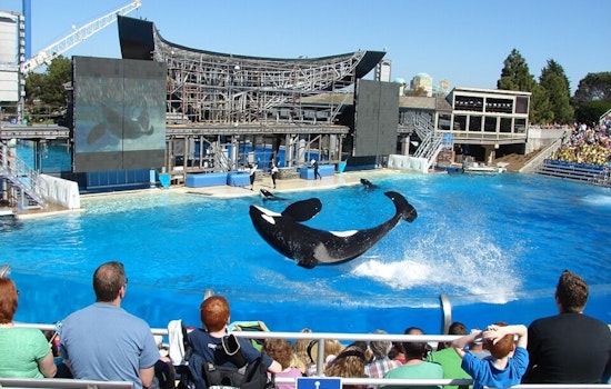 Mission Bay Showdown: SeaWorld Fireworks Could Give Way To Drone Swarms