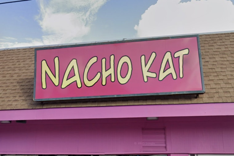 Nacho Kat Pounces On Familiar Calhoun Street Corner In Uptown