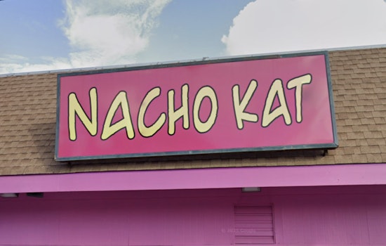 Nacho Kat Pounces On Familiar Calhoun Street Corner In Uptown