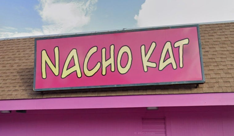 Nacho Kat Pounces On Familiar Calhoun Street Corner In Uptown