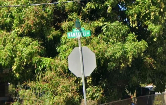 Nanakuli Man, 76, Busted After Gunfire Erupts in Daughter Pickup Dispute