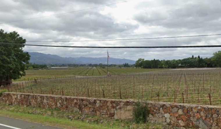 Napa Wine Dynasty Bows Out as Chanel Grabs Last Rudd Estate