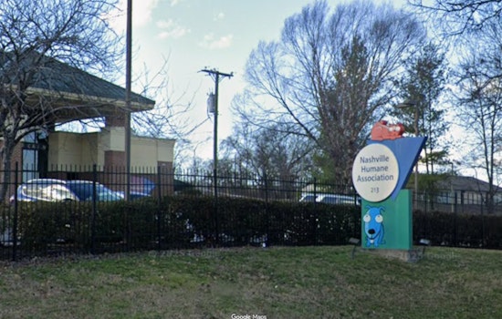 Nashville Humane Takes In 27 Dogs From Puppy Mill Rescue
