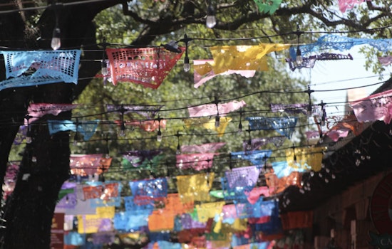 Neon Stampede as Flambeau Parade Takes Over Downtown San Antonio Saturday Night