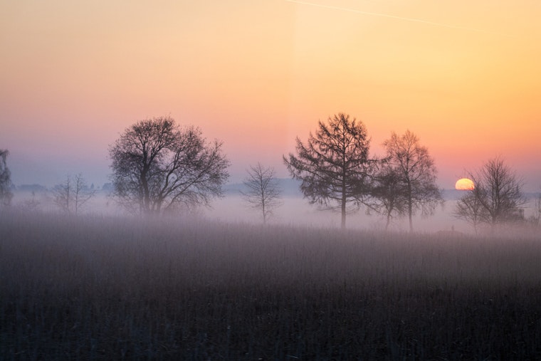 New Orleans Wakes in a Fog, Toasts Under Afternoon Sun