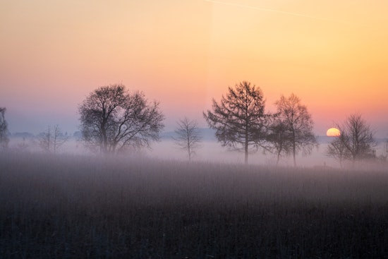 New Orleans Wakes in a Fog, Toasts Under Afternoon Sun
