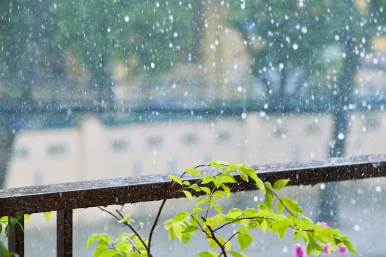 Gusty Morning Soaker Sets Stage For Warm, Sunny Comeback In New Orleans