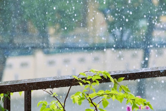 Gusty Morning Soaker Sets Stage For Warm, Sunny Comeback In New Orleans