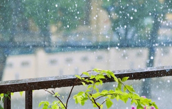 Gusty Morning Soaker Sets Stage For Warm, Sunny Comeback In New Orleans