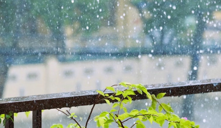 Gusty Morning Soaker Sets Stage For Warm, Sunny Comeback In New Orleans