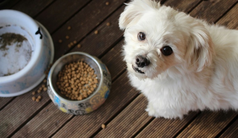 New York Bill Would Make Pet Food Sales Tax‑Free