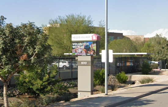 Newborn Kitten Cheats Death On I-17 In Phoenix Freeway Miracle