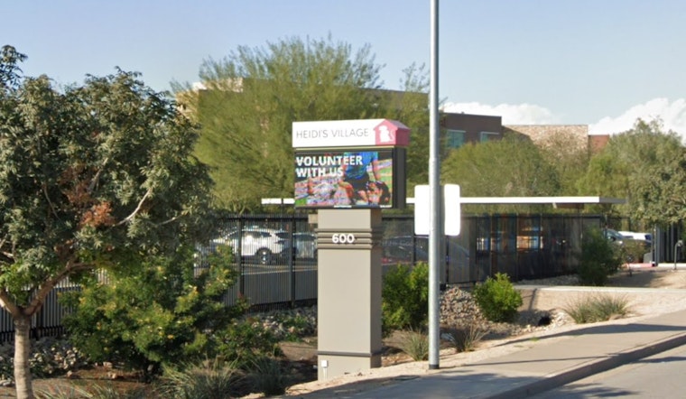 Newborn Kitten Cheats Death On I-17 In Phoenix Freeway Miracle