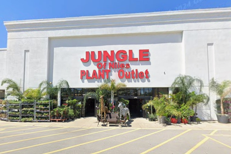 Niles Jungle Scrambles For New Lair After Lease Axed