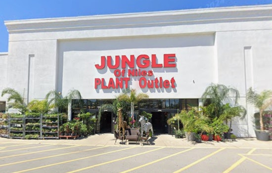 Niles Jungle Scrambles For New Lair After Lease Axed