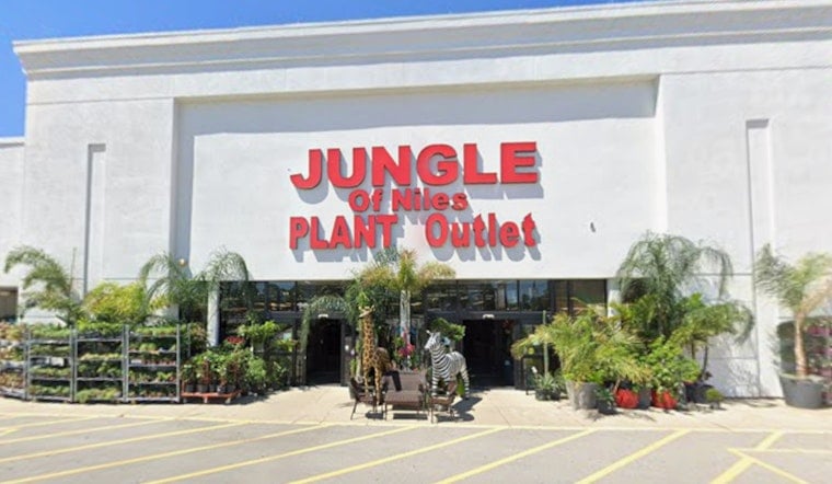 Niles Jungle Scrambles For New Lair After Lease Axed